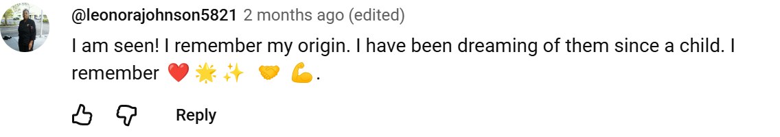 YouTube comment by @leonorajohnson5821