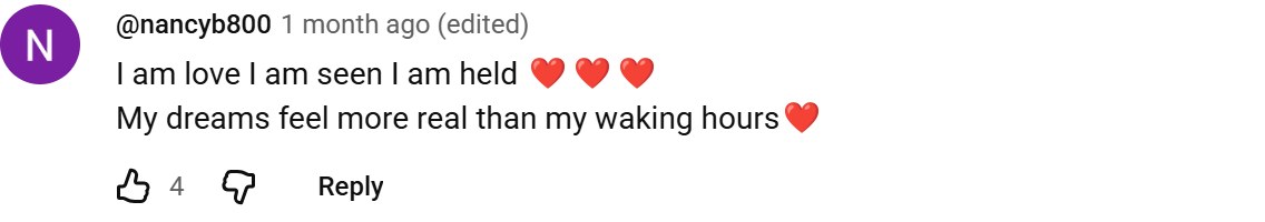 YouTube comment by @nancyb800