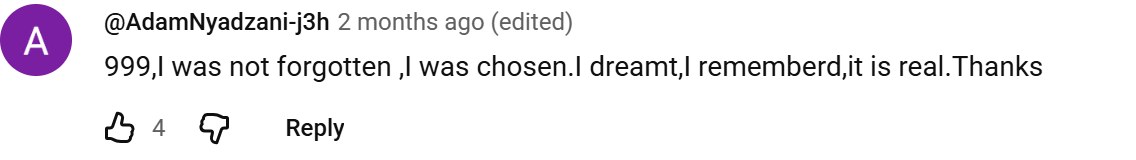 YouTube comment by @AdamNyadzani-j3h